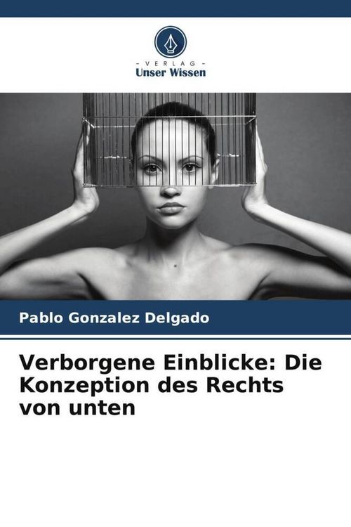 Produktbild: Verborgene Einblicke: Die Konzeption des Rechts von unten