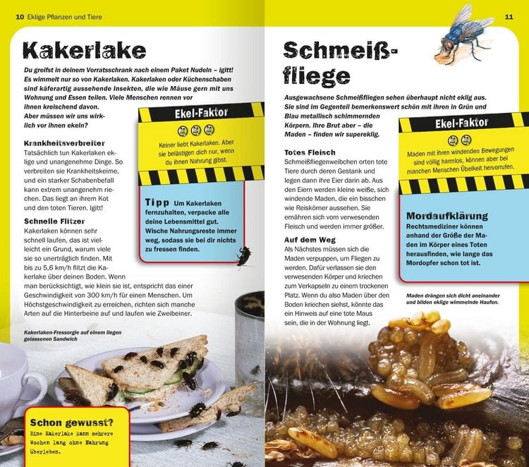 Produktbild: Die 100 ekligsten Dinge der Welt