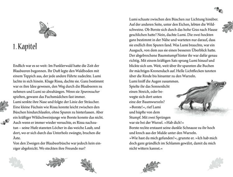 Produktbild: Funklerwald