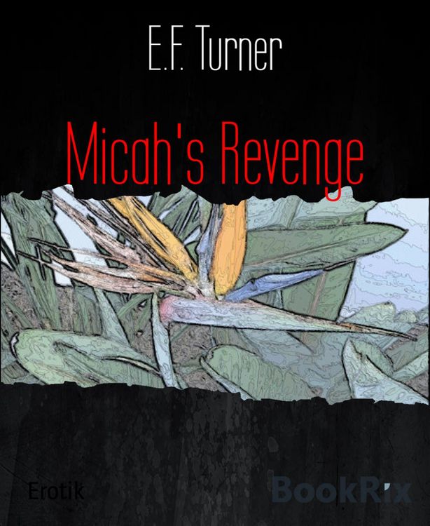 Produktbild: Micah's Revenge