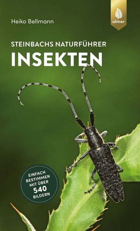 Produktbild: Steinbachs Naturführer Insekten