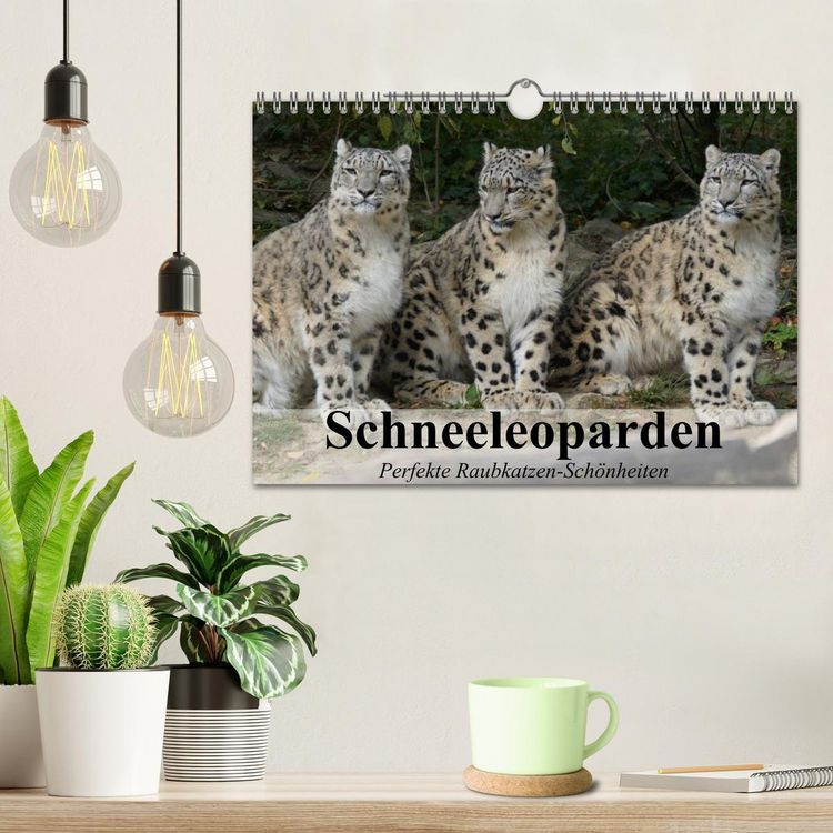 Produktbild: Schneeleoparden. Perfekte Raubkatzen-Sch&ouml;nheiten (Wandkalender 2026 DIN A4 quer), CALVENDO Monatskalender