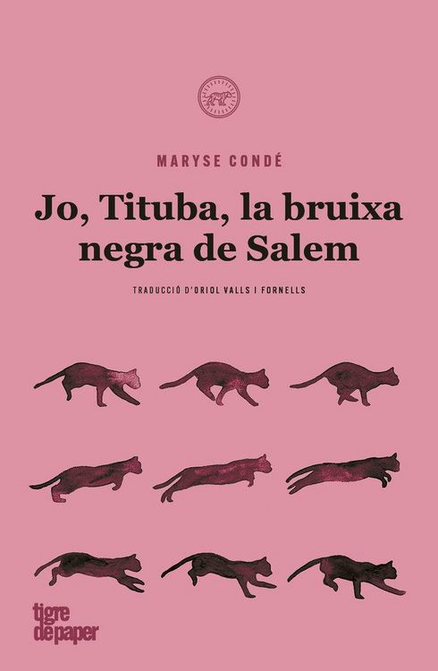 Produktbild: Jo, Tituba, bruixa negra de Salem