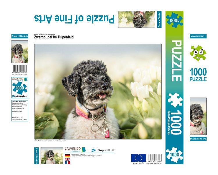 Produktbild: CALVENDO Puzzle Zwergpudel im Tulpenfeld 1000 Teile Lege-Gr&ouml;&szlig;e 640 x 480 cm Foto-Puzzle Bild von boegau - fotos