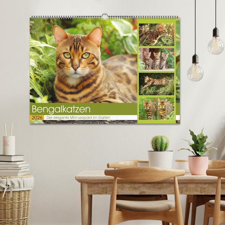 Produktbild: Bengalkatzen. Der elegante Mini-Leopard im Garten (Wandkalender 2026 DIN A2 quer), CALVENDO Monatskalender