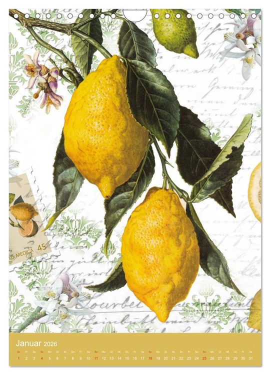 Produktbild: Vintagekunst Collagen (Wandkalender 2026 DIN A4 hoch), CALVENDO Monatskalender