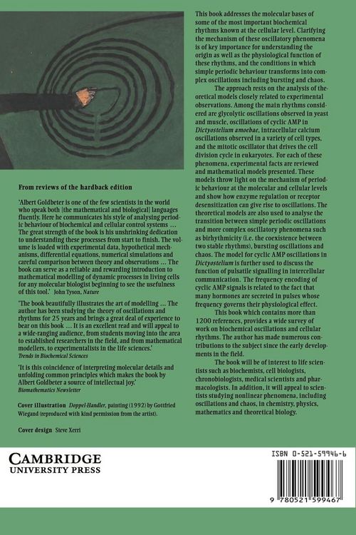 Produktbild: Biochemical Oscillations and Cellular Rhythms