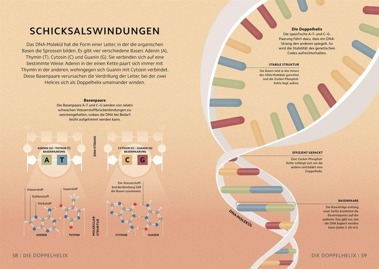 Produktbild: SIMPLY. Genetik