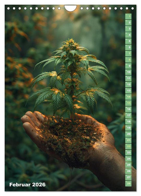 Produktbild: Rauschende Aussichten - Der ultimative Cannabis-Kalender (Wandkalender 2026 DIN A4 hoch), CALVENDO Monatskalender