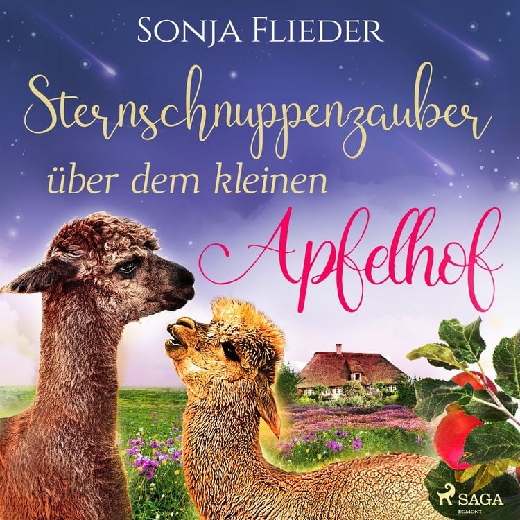Produktbild: Sternschnuppenzauber &uuml;ber dem kleinen Apfelhof