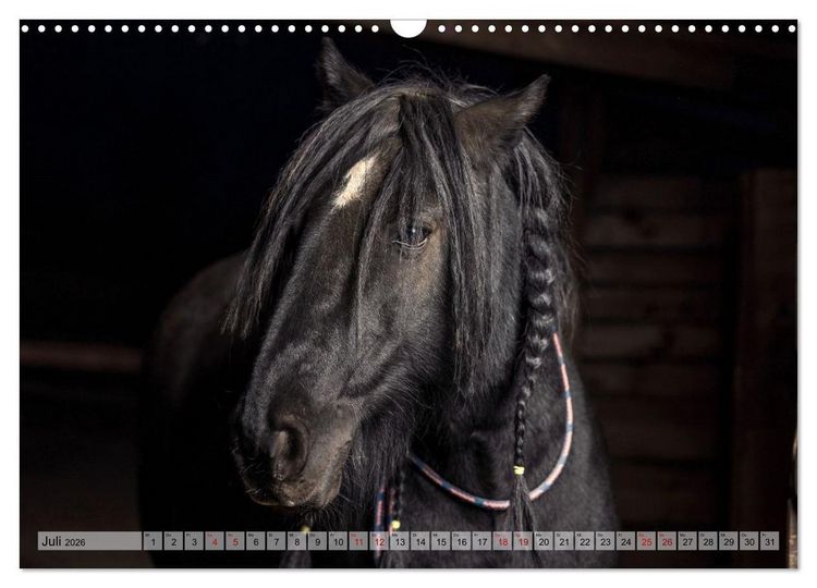 Produktbild: Colorful Horse Ranch &ndash; Wo Tinker posen und Ponys l&auml;cheln (Wandkalender 2026 DIN A3 quer), CALVENDO Monatskalender