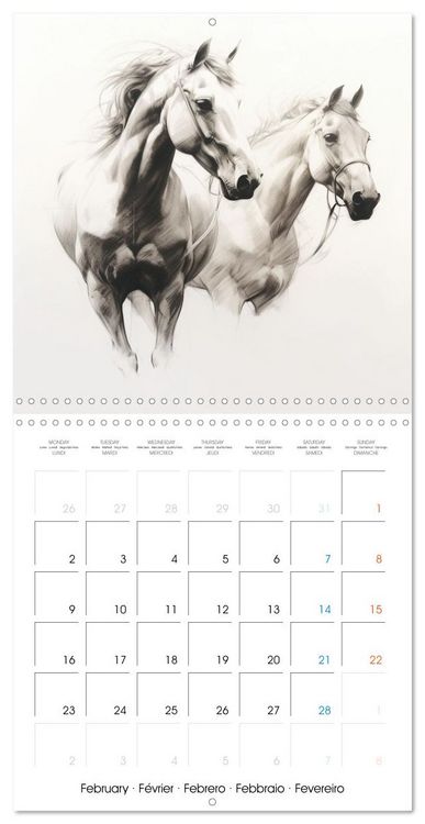 Produktbild: &Eacute;l&eacute;gance &eacute;quine (Calendrier mural carr&eacute; 2026 30x30 cm) Calendrier double avec une page pour vos prises de notes