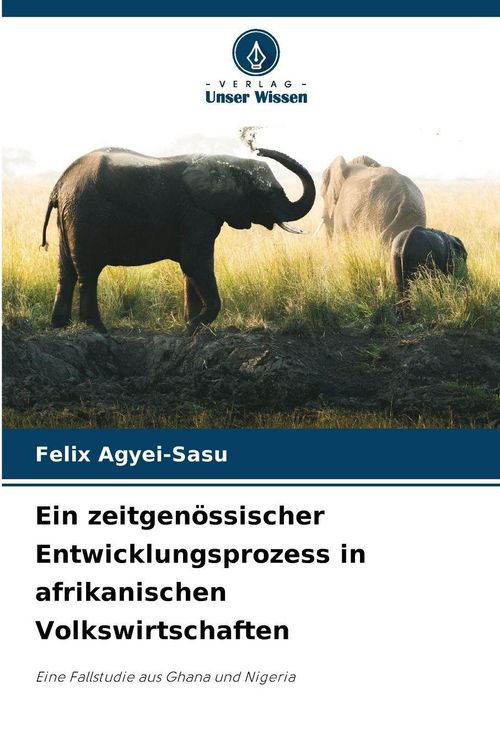 Produktbild: Ein zeitgen&ouml;ssischer Entwicklungsprozess in afrikanischen Volkswirtschaften