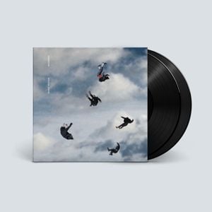 Produktbild: Rookery (2LP)