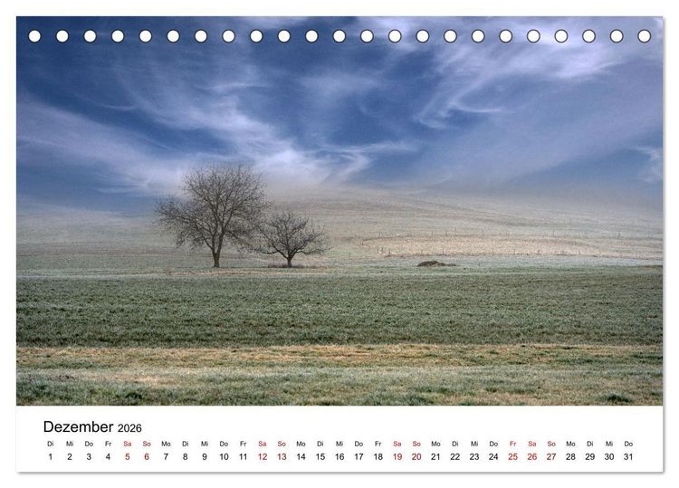 Produktbild: B&auml;ume - Wunder der Natur (Tischkalender 2026 DIN A5 quer), CALVENDO Monatskalender