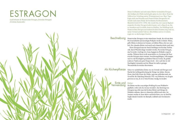 Produktbild: Das besondere Kr&auml;uterkochbuch