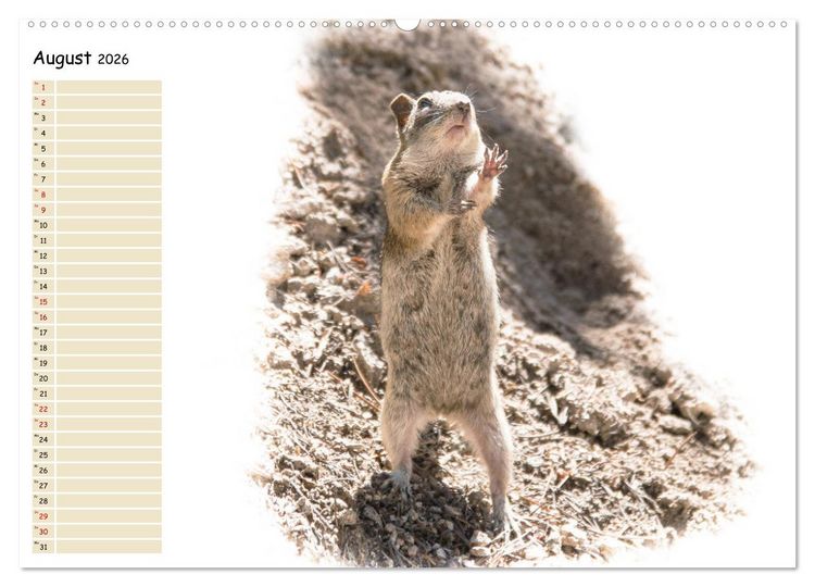 Produktbild: Tierisches Yoga (Wandkalender 2026 DIN A2 quer), CALVENDO Monatskalender