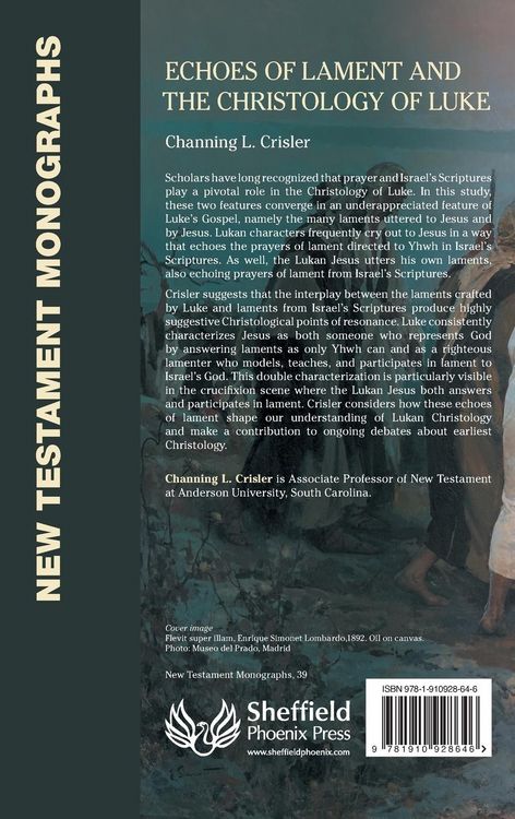 Produktbild: Echoes of Lament in the Christology of Luke's Gospel