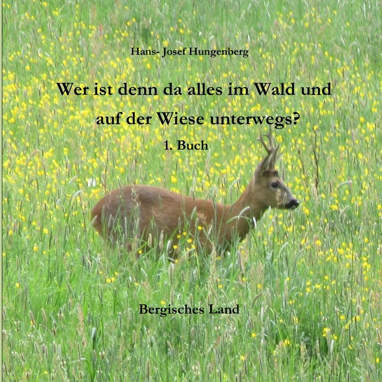 Produktbild: Wer ist denn da alles im Wald und auf der Wiese unterwegs?