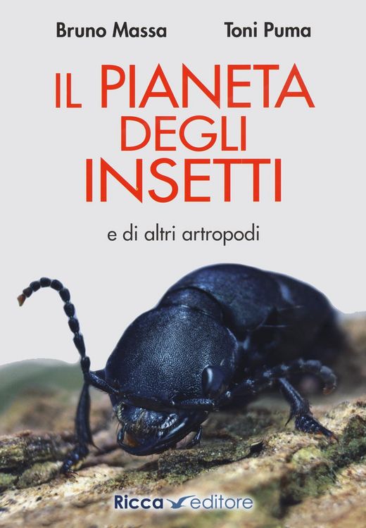 Produktbild: Il pianeta degli insetti e di altri artropodi