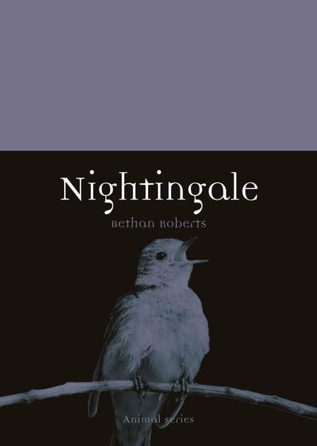 Produktbild: Nightingale