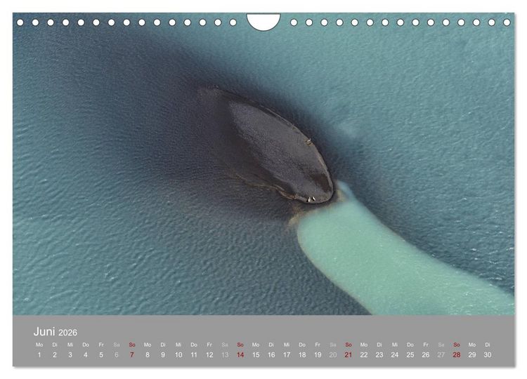 Produktbild: Naturkunst - Luftbilder (Wandkalender 2026 DIN A4 quer), CALVENDO Monatskalender