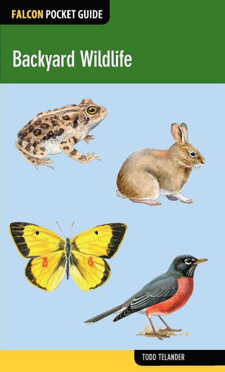 Produktbild: Backyard Wildlife