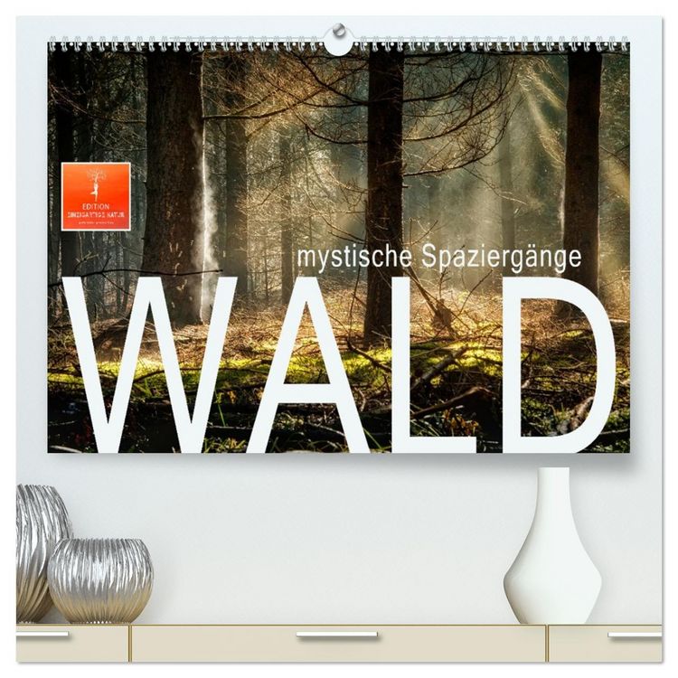 Produktbild: Wald - mystische Spazierg&auml;nge (hochwertiger Premium Wandkalender 2026 DIN A2 quer), Kunstdruck in Hochglanz