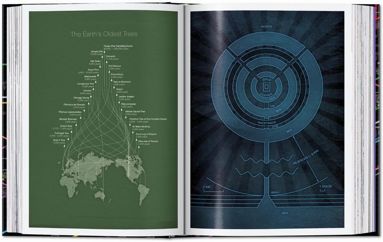 Produktbild: Information Graphics