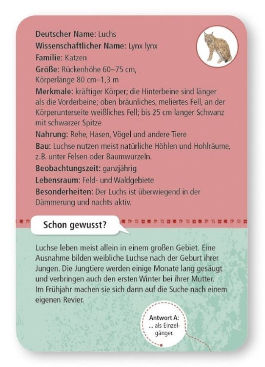 Produktbild: Expedition Natur - 50 heimische Wald- & Wildtiere
