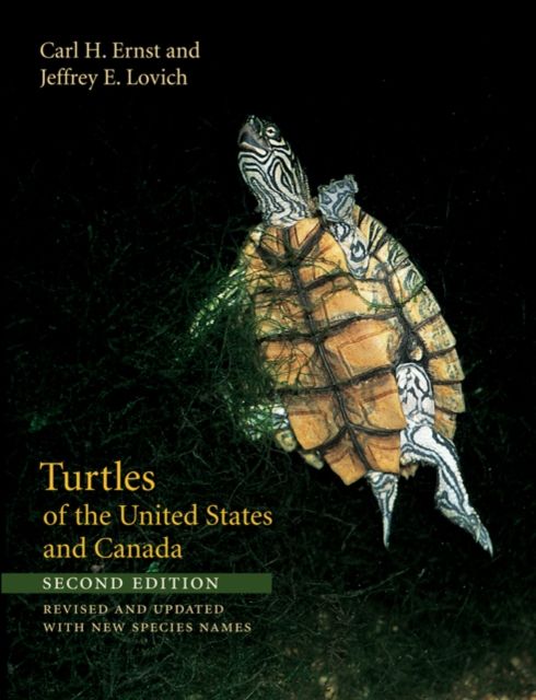 Produktbild: Turtles of the United States and Canada