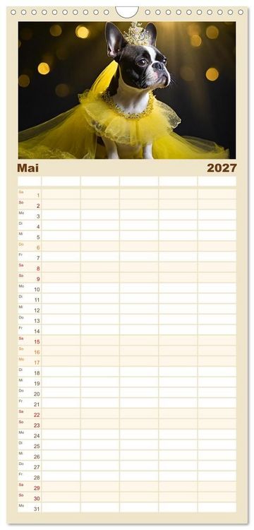 Produktbild: Familienplaner 2027 - Kleine Hunde - Gro&szlig;e Diven mit 5 Spalten (Wandkalender, 21 x 45 cm) CALVENDO