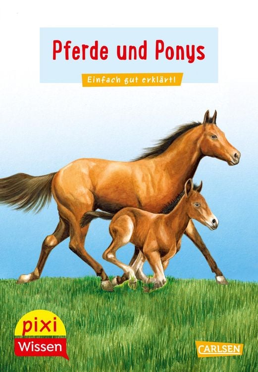 Bild vom Artikel Pixi Wissen 1: Pferde und Ponys vom Autor Hanna Sörensen