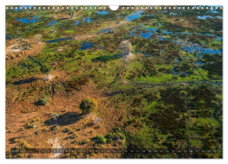 Produktbild: Botswana &ndash; Landschaft und Tierwelt (Wandkalender 2026 DIN A3 quer), CALVENDO Monatskalender