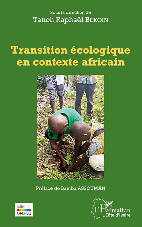 Produktbild: Transition &eacute;cologique en contexte africain