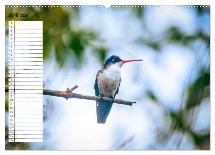 Produktbild: Arizona, une rencontre avec la nature (Calendrier mural 2026 DIN A2 vertical) calendrier de bureau