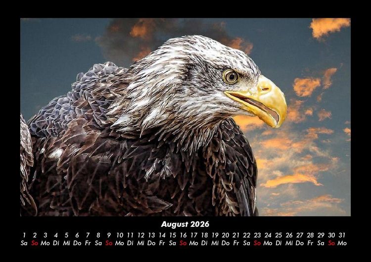 Produktbild: V&ouml;gel 2026 Fotokalender DIN A3