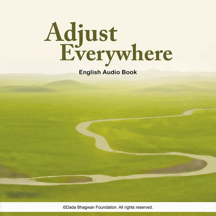 Produktbild: Adjust Everywhere - English Audio Book