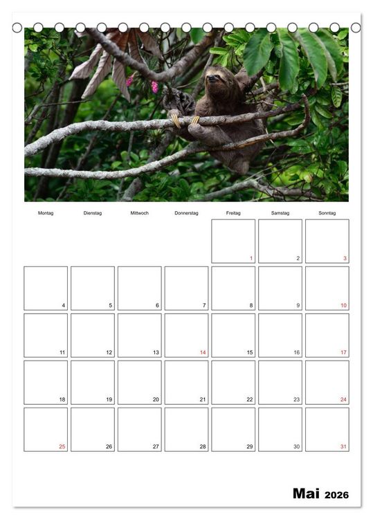 Produktbild: Brasilien. Wo die Sonne wohnt (Tischkalender 2026 DIN A5 hoch), CALVENDO Monatskalender