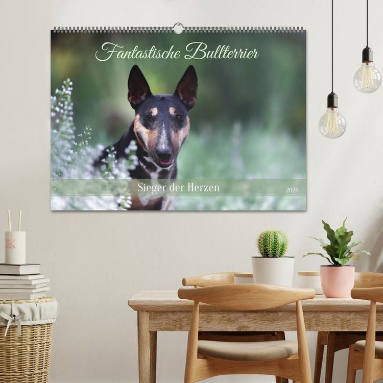 Produktbild: Fantastische Bullterrier - Sieger im Herzen (Wandkalender 2026 DIN A2 quer), CALVENDO Monatskalender