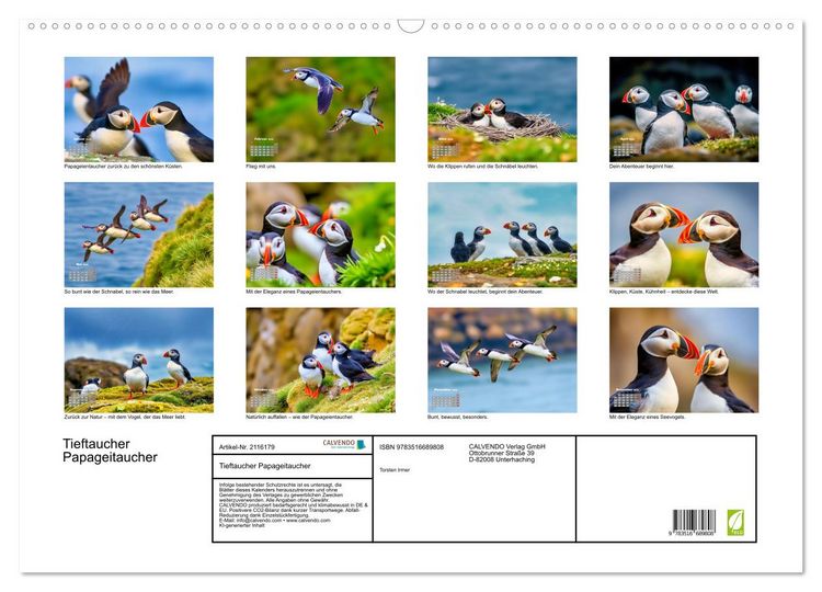 Produktbild: Tieftaucher Papageitaucher (Wandkalender 2026 DIN A2 quer), CALVENDO Monatskalender
