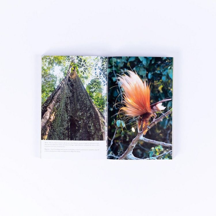 Produktbild: Living Planet