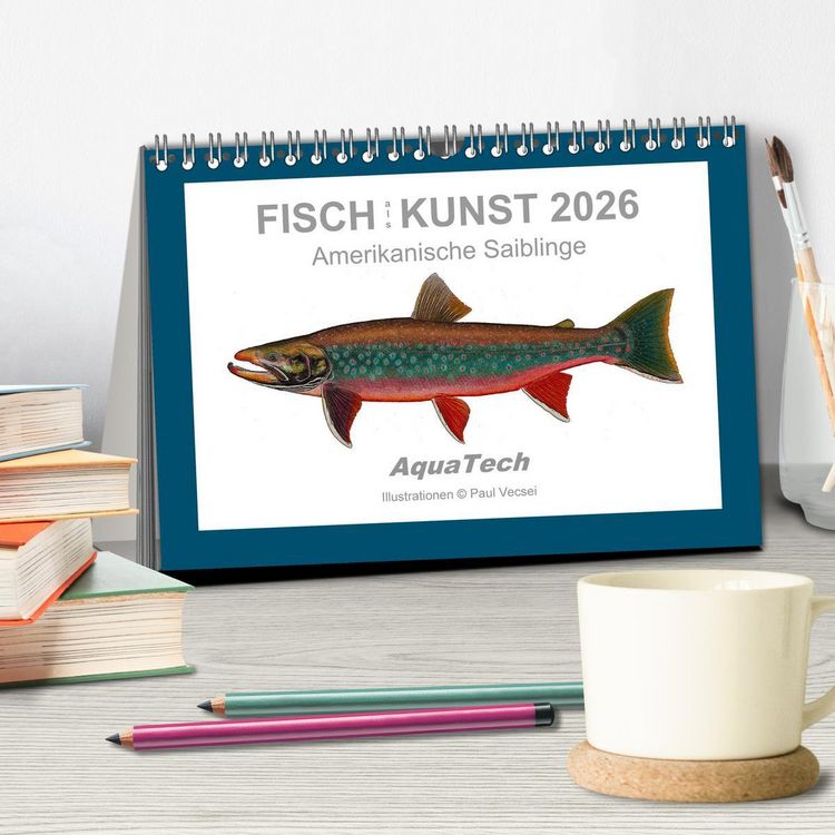 Produktbild: Fisch als Kunst 2026: Amerikanische Saiblinge (Tischkalender 2026 DIN A5 quer), CALVENDO Monatskalender