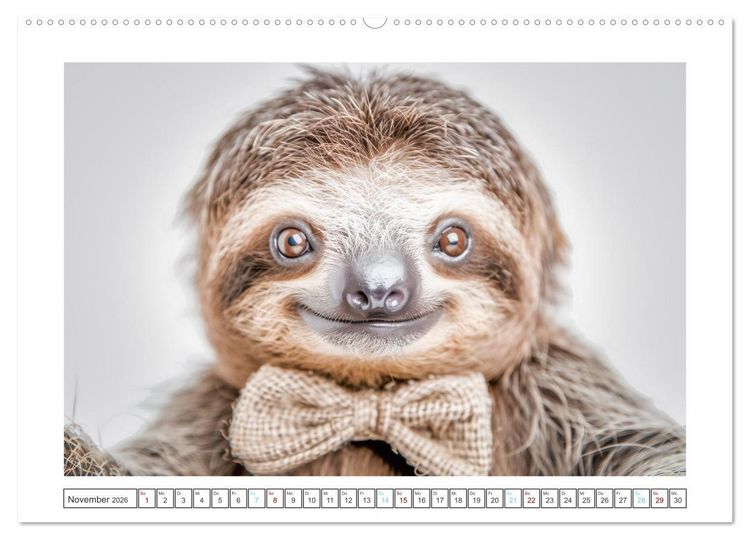 Produktbild: Snoozers Tr&auml;umende Abenteuer (hochwertiger Premium Wandkalender 2026 DIN A2 quer), Kunstdruck in Hochglanz