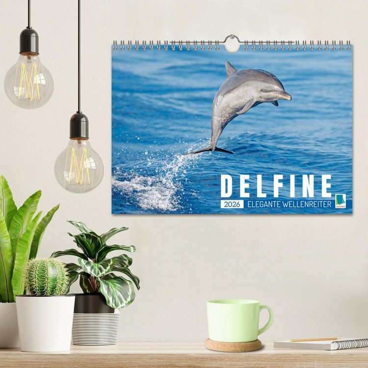 Produktbild: Delfine: Elegante Wellenreiter (Wandkalender 2026 DIN A4 quer), CALVENDO Monatskalender