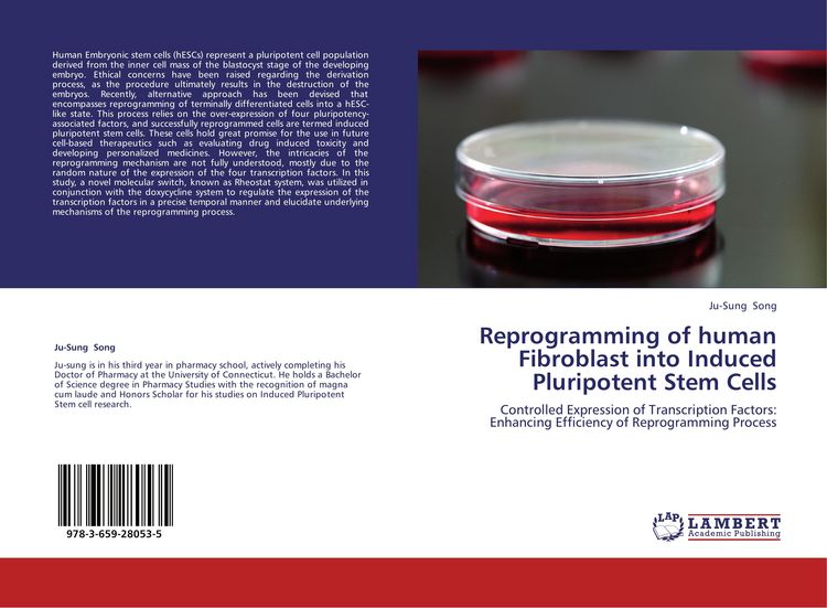 Produktbild: Reprogramming of human Fibroblast into Induced Pluripotent Stem Cells