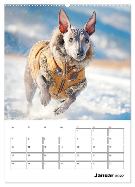 Produktbild: Xolos. Seelenhunde aus Mexiko (Wandkalender 2027 DIN A2 hoch), CALVENDO Monatskalender