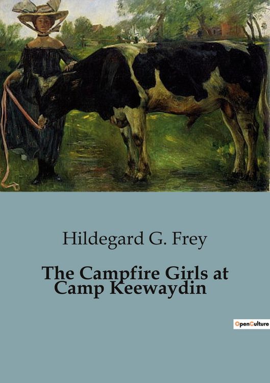 Produktbild: The Campfire Girls at Camp Keewaydin