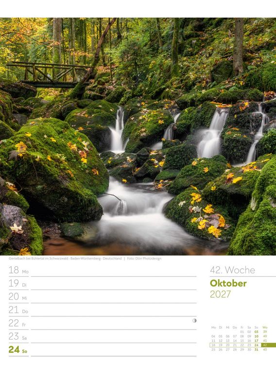 Produktbild: Unser Wald Wochenplaner Kalender 2027