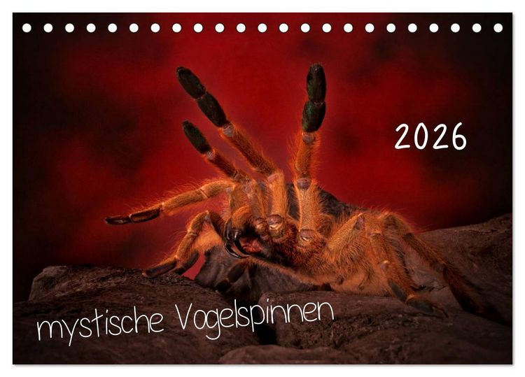 Produktbild: Mystische Vogelspinnen (Tischkalender 2026 DIN A5 quer), CALVENDO Monatskalender